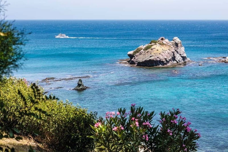 Paphos: Zoo Visit and Blue Lagoon Cruise with Guide & Lunch - Key points to know before booking