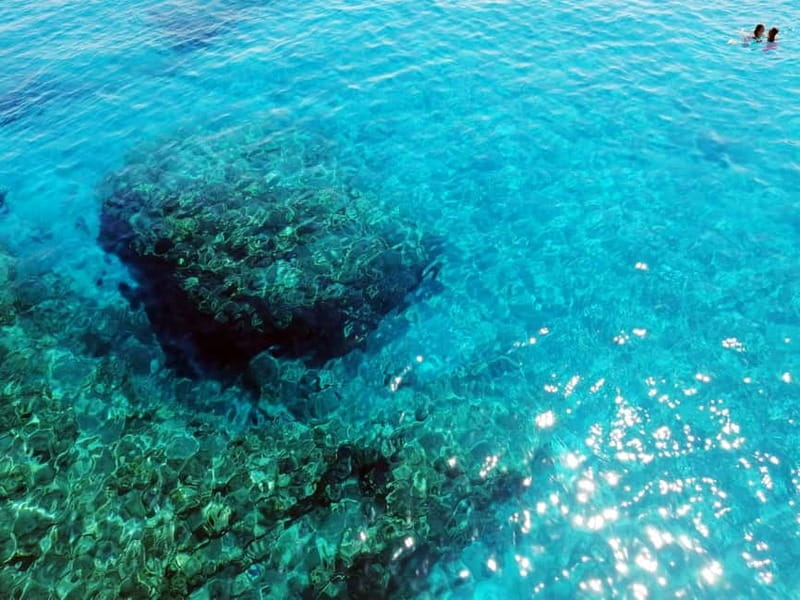 Paphos: Zoo Visit and Blue Lagoon Cruise with Guide & Lunch - Is $80 good value?