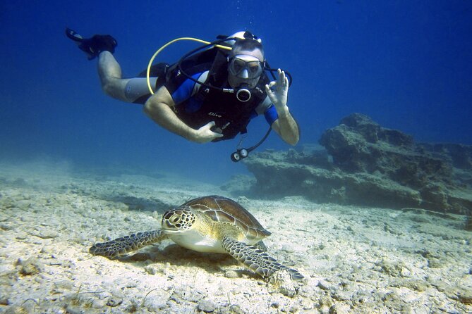 Private Discovery Dive + Photos & Videos - Key points to know before booking