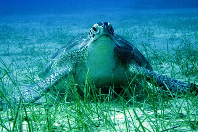 Private Discovery Dive + Photos & Videos - The equipment briefing takes time for good reason
