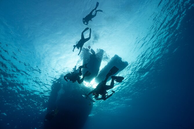 Private Discovery Scuba Diving with Sea Turtles - Why the private format helps
