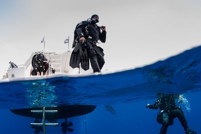 Private Diving at Zenobia Wreck in Larnaka - Key points before you book