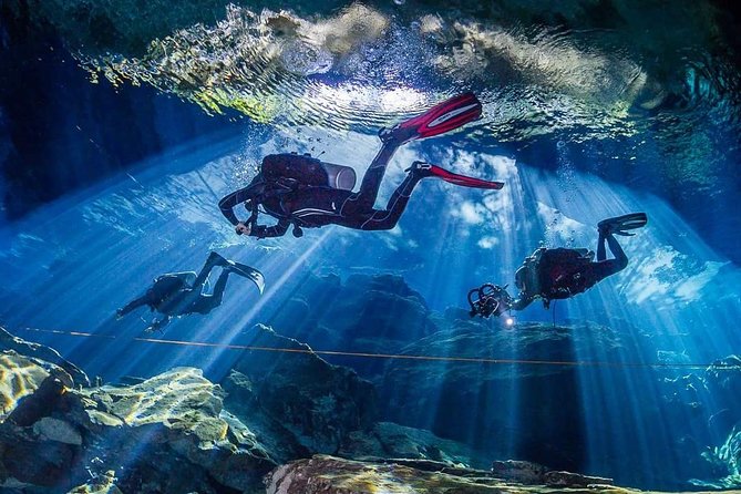 Private Diving at Zenobia Wreck in Larnaka - What you may actually see
