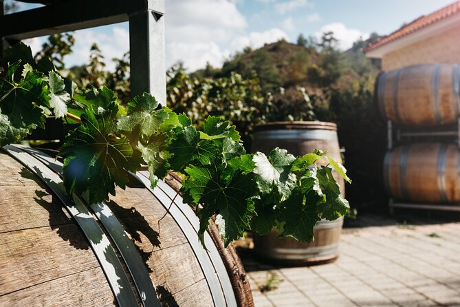 Private Full-Day Tour in Lanarca with a Visit to a Winery - Angeloktisti Church in Kiti