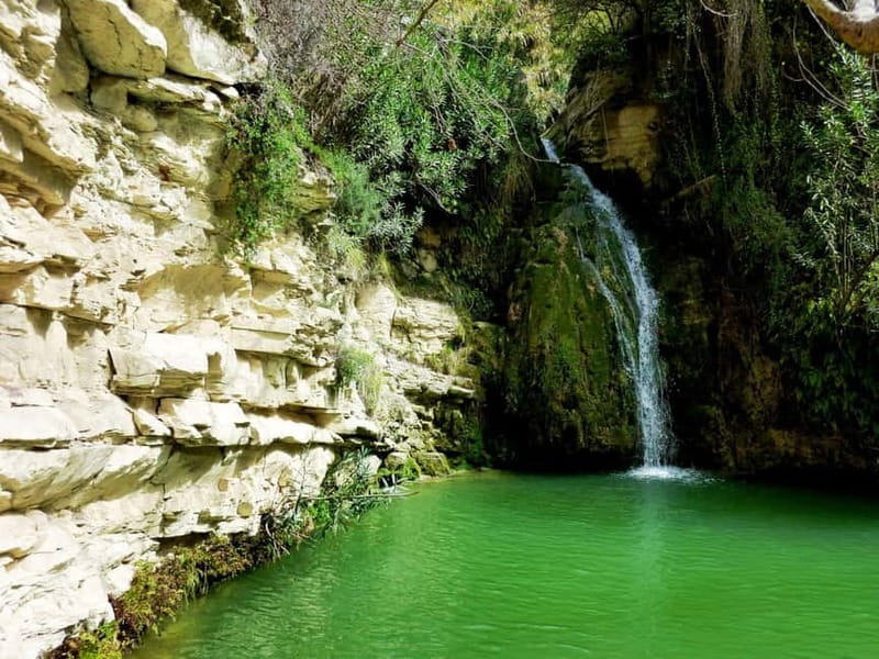 Private Jeep Safari Turtle Adventure & Adonis Waterfalls - Key points to know before booking