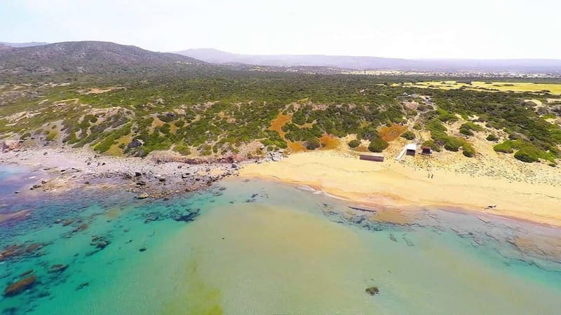 Private Jeep Safari Turtle Adventure & Adonis Waterfalls - Lara Bay is a photo stop, not a long beach visit