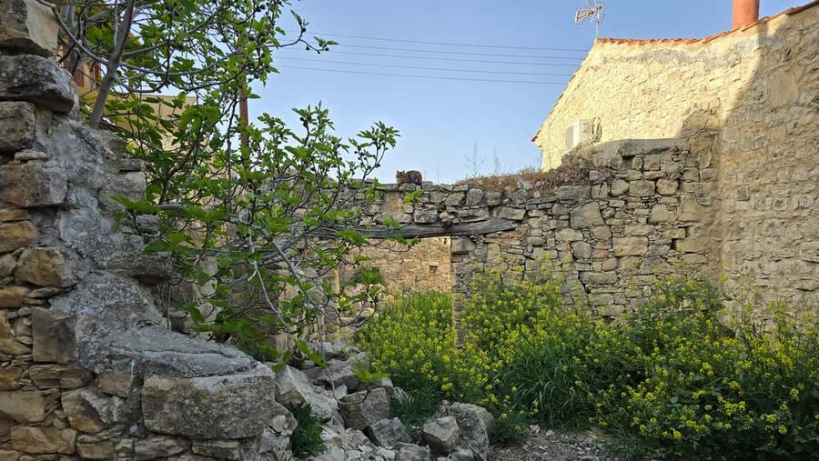 PRIVATE TOUR | Troodos Mountain: Waterfall, Villages & Lunch - Coffee, beer, and village life in Omodos