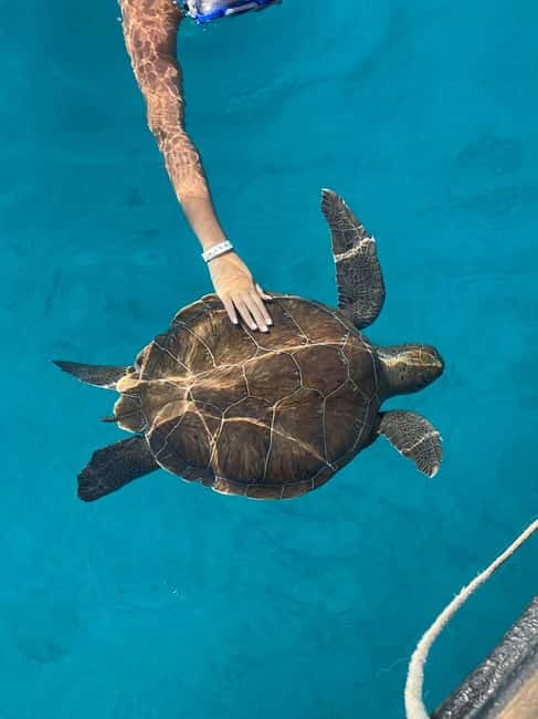 Protaras: Blue Lagoon and Turtles Pirate Cruise - The Blue Lagoon swim