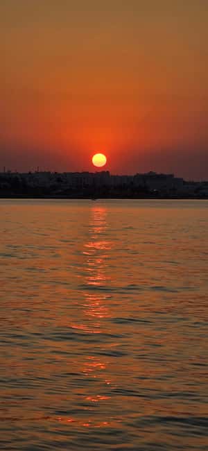 Protaras Blue Lagoon Sunset Tour with Pizza & Champagne - Champagne, pizza and fruit on the return