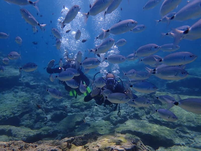 Protaras: Cape Grecko Single Dive for Qualified Divers - Cape Greco under the surface
