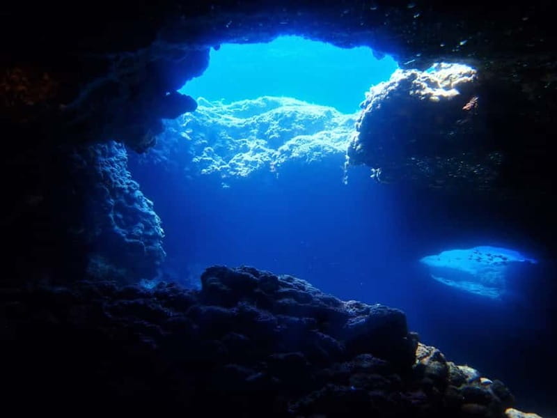 Protaras: Cape Grecko Single Dive for Qualified Divers - What the underwater session is like