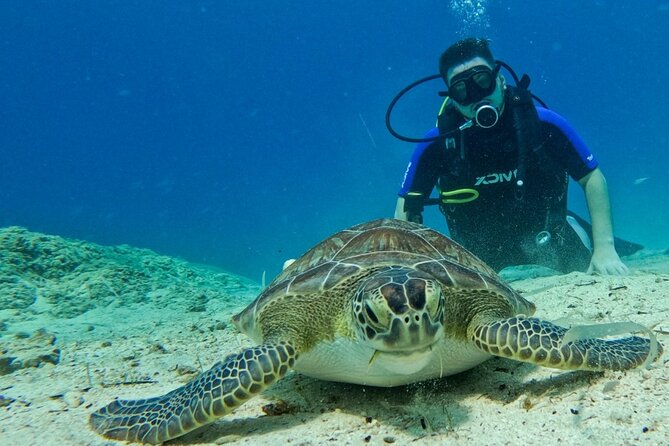 Protaras: Discover Scuba Diving For Beginners 2 Dives - Key points at a glance