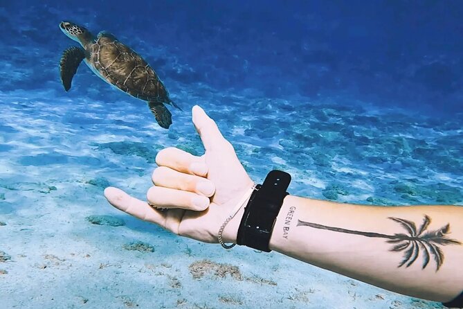 Protaras: Discover Scuba Diving For Beginners 2 Dives - The first 5-meter session