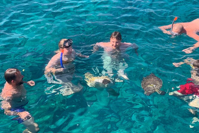 Protaras: St Georgios Presidential Cruise BBQ & 1 drink. 16+ - Swimming in clear water, with a chance of turtles