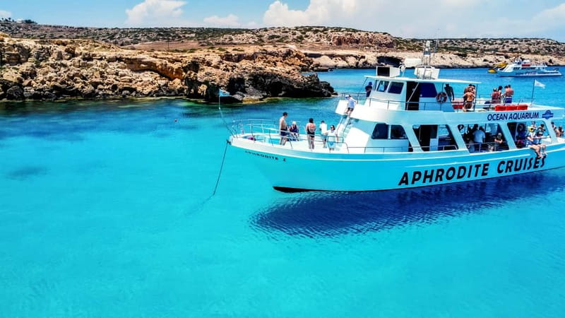 Protaras: Turtle Cove & Blue Lagoon Cruise - Turtle Cove and the wildlife question