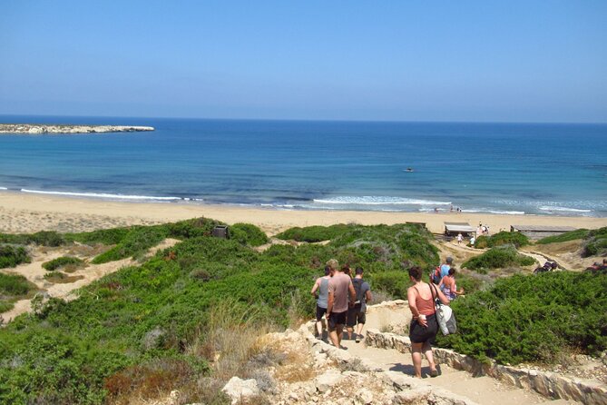 Quad or Buggy Tour from Coral Bay to Akamas Forest - Akamas Forest, old mines, and empty tracks