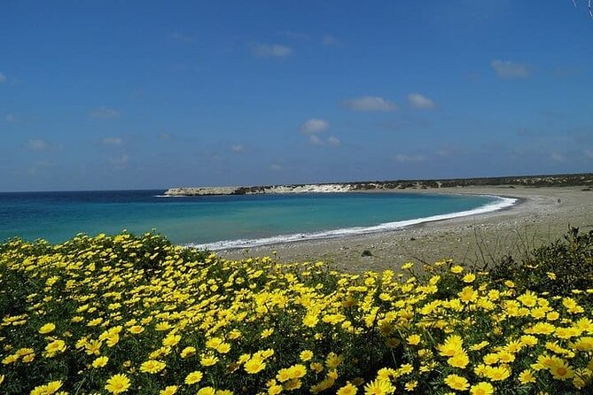 Quad or Buggy Tour from Coral Bay to Lara Bay - How much value do you get for $96.12?