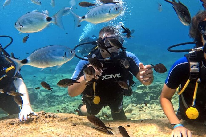 Scuba Diving Adventure at Green Bay Beach - Green Bay gives beginners a gentle start