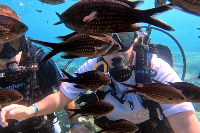 Scuba Diving Adventure at Green Bay Beach - The physical demands are modest, but real