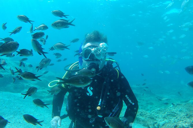 Scuba Diving Cyprus Experience Protaras and Ayia Napa & Turtles - A calm first step beneath the water