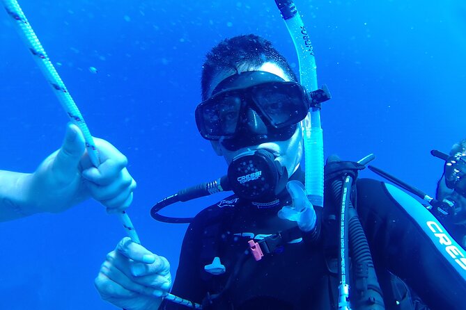 Scuba Diving Cyprus Experience Protaras and Ayia Napa & Turtles - Pickup, timing, and travel rules