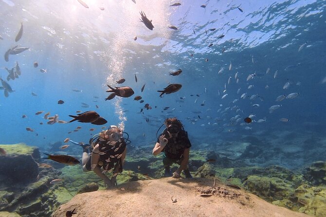 Scuba Diving Experience (10+ Years) AND Free Edited Video - How the Three Hours Feel