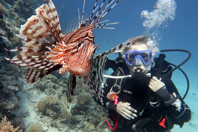 Scuba Diving Experience & MUSAN Dive + Free Edited Video 2xdives - The free edited video and what it is worth