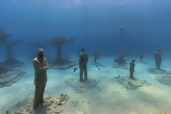 Scuba Diving Experience & MUSAN Dive + Free Edited Video 2xdives - Is $144.17 a fair price?