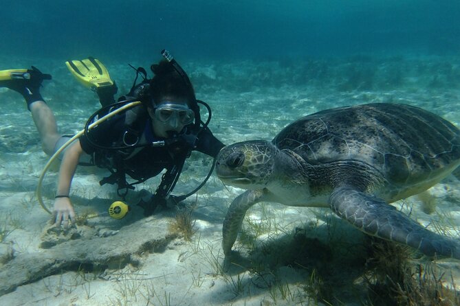 SCUBA DIVING first time experience - Key points to know before you book