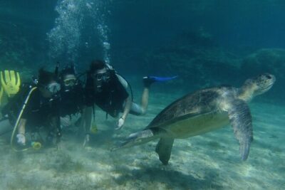SCUBA DIVING first time experience