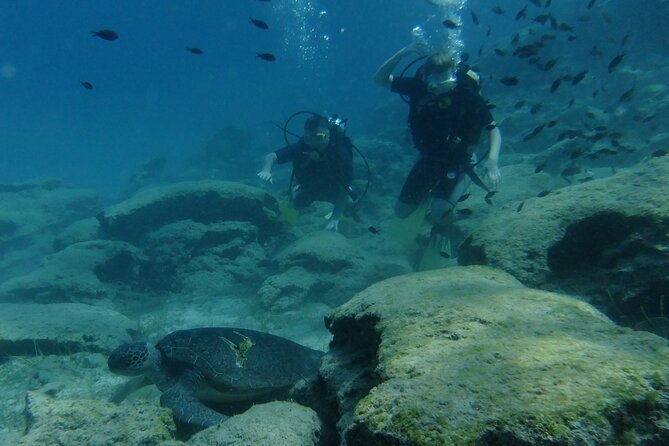 SCUBA DIVING first time experience - Photos, coffee, and small extras