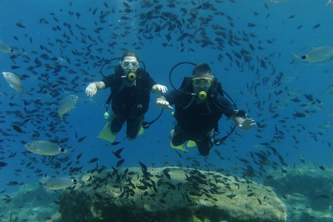 SCUBA DIVING first time experience - Families, children, and non-swimmers