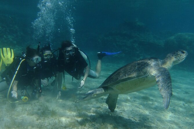 SCUBA DIVING first time experience - Green Bay, fish, and the chance of a turtle