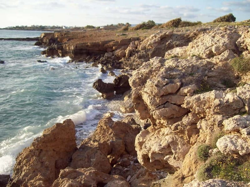 Sea Star Blue Lagoon Round Trip Cruise from Paphos - Key points to know before booking