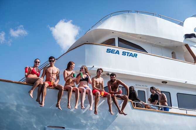 Sea Star | Half Day Cruise - Key points to know before booking