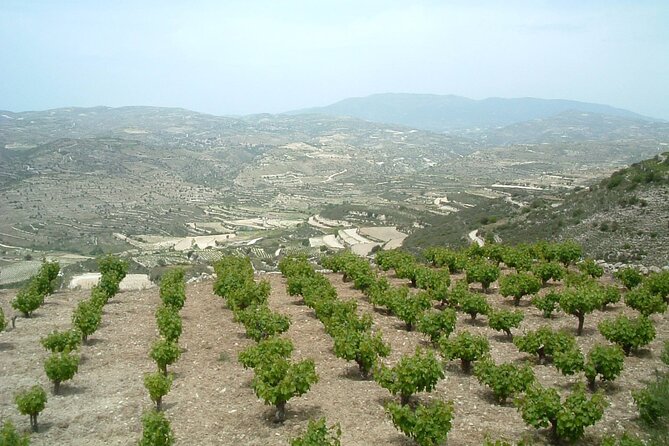 Shared Monolithos Boutique Winery Tour - A personal introduction to Cyprus wine in Pachna