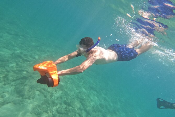 snorkeling ,Turtle Watching in Cyprus - Swimming with turtles in their natural home
