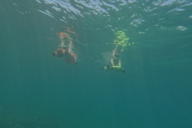snorkeling ,Turtle Watching in Cyprus - What the sea scooter adds