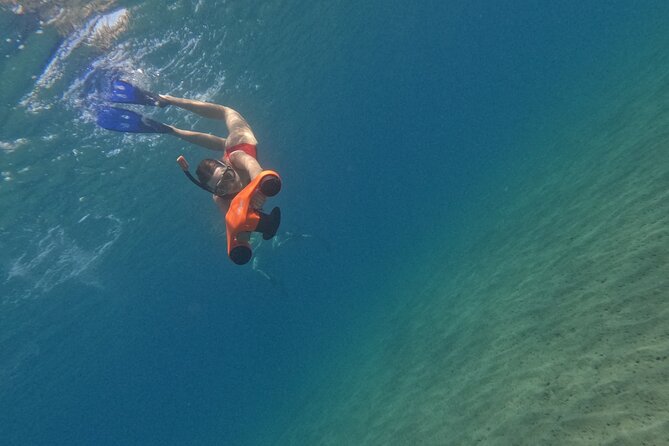 snorkeling ,Turtle Watching in Cyprus - Water temperature, visibility, and seasonal comfort