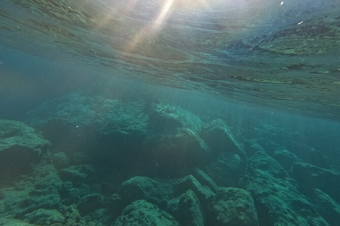 snorkeling ,Turtle Watching in Cyprus - Breaks, photos, and time in the water