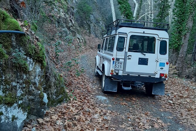 Stelios Jeep Safari - The glass-bottom boat changes the rhythm of the day