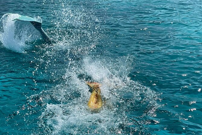 The Mermaid Cruise by Medusa Cruises – 2:30-Hour Family Adventure - Konnos Bay and Lovers’ Bridge