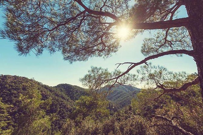 Troodos Jeep Safari from Protaras,Ayia napa & Larnaca - Pedoulas lunch and time among village streets