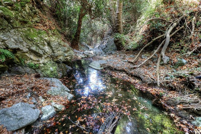 Troodos Jeep Safari from Protaras,Ayia napa & Larnaca - Is the $96.55 price good value?