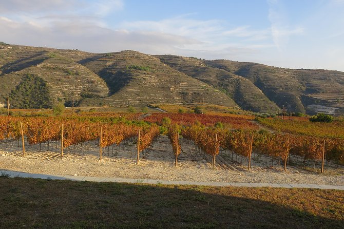Troodos Mountains Grape Escape: All Inclusive Food & Wine Tour - The surprise stop and local connections