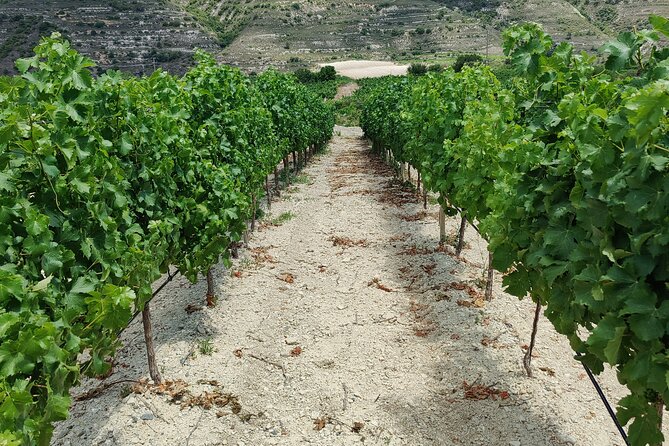 Troodos Mountains Grape Escape: All Inclusive Food & Wine Tour - What the guides add to the day