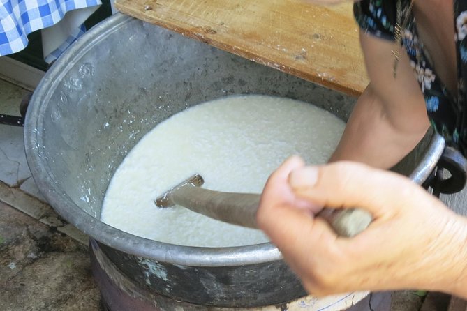 Troodos Mountains Halloumi Making: All Inclusive Workshop & Tour - Golden Donkeys Farm and the donkey-milk stop