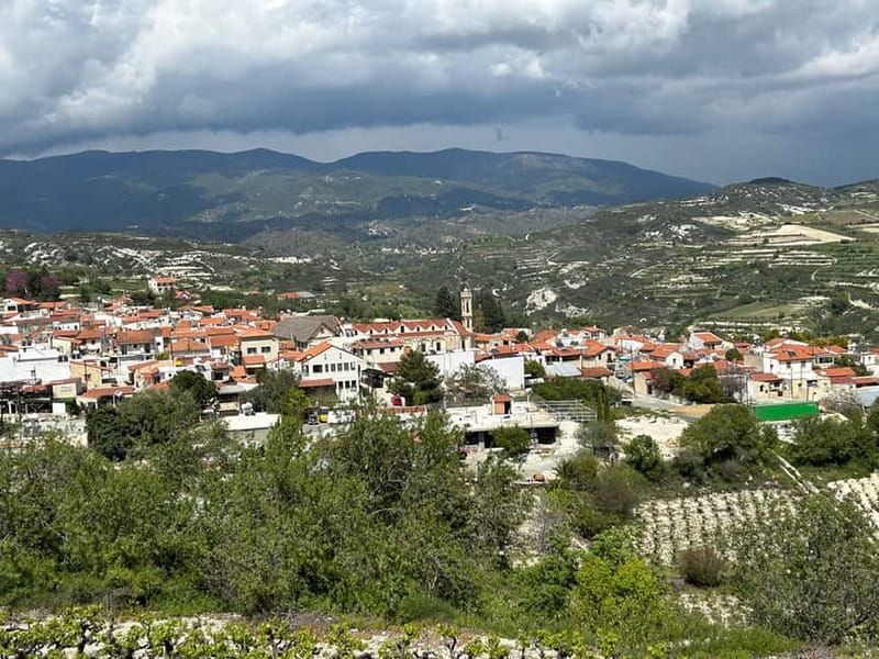Troodos Mountains : private tour including a wine tasting - Linos Winery and the unusual blue wine