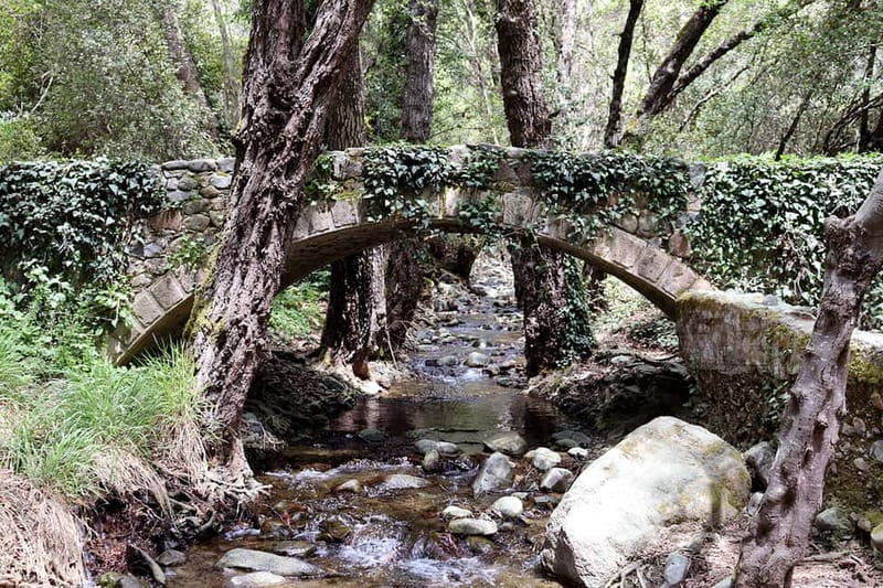 Troodos Mountains : private tour including a wine tasting - Who will enjoy this Troodos outing most