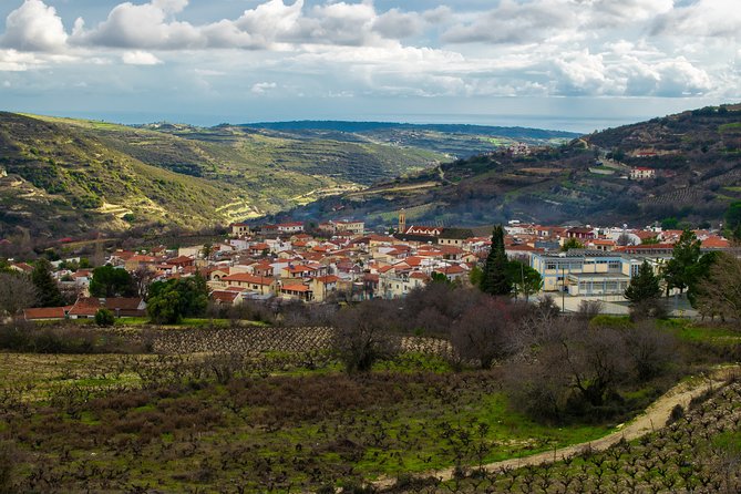 Troodos Mountains Villages: All Inclusive Food & Wine Day Tour - Tsangarides Winery and the modern wine scene